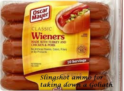  photo wiener.jpg