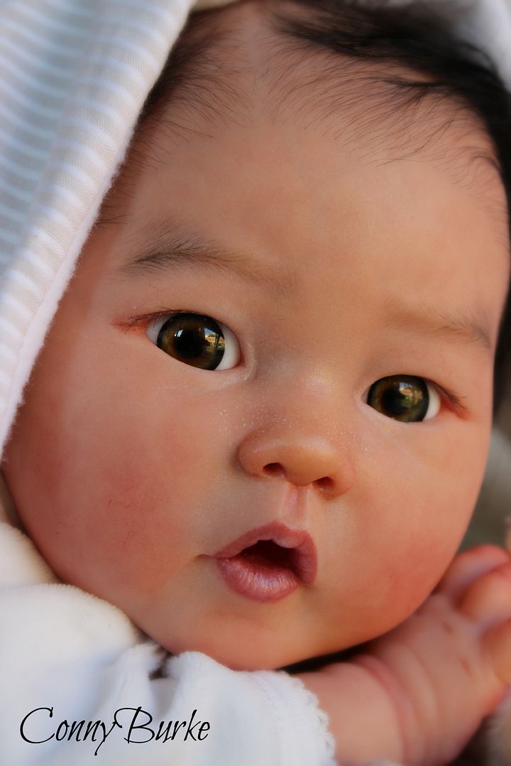 asian reborn dolls for sale