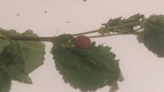 20150505_231249.jpg