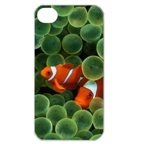 Clown fish and Green Sea Reef   iPhone Case Cover     224