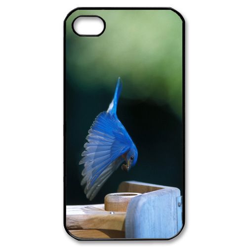Colorful bird   iPhone Case Cover     228