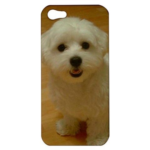 Maltese Puppy Dog   iPhone Case Cover     645
