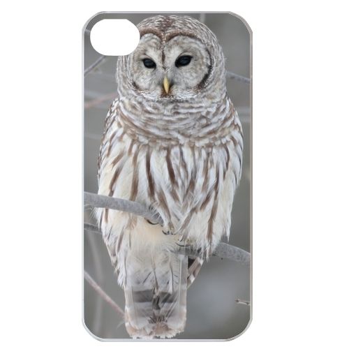 The Owl   iPhone Case Cover     831