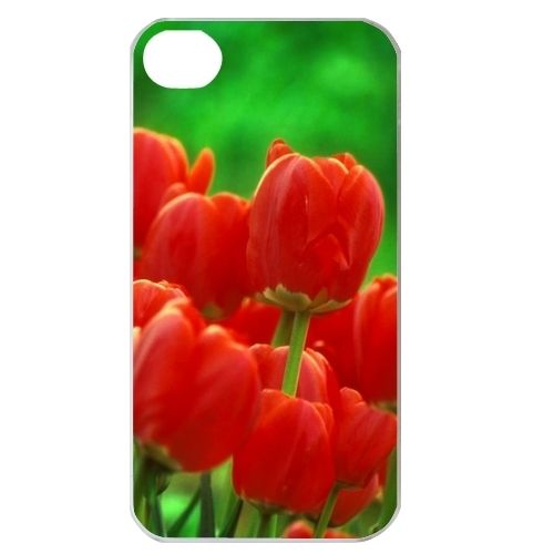 Tulip Flowers   iPhone Case Cover     862