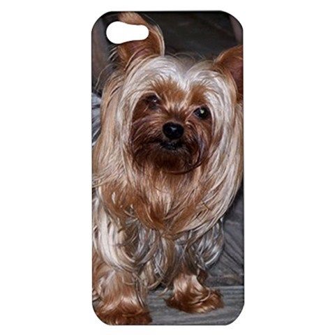 Yorkshire Terrier Puppy Dog   iPhone Case Cover     983