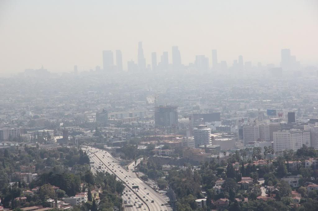 IMAGE: http://i1157.photobucket.com/albums/p590/dawickatwo/IMG_0303_zpsb752fbad.jpg