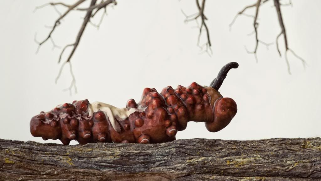 IMAGE: http://i1157.photobucket.com/albums/p590/dawickatwo/cattypills_zps7079ff25.jpg