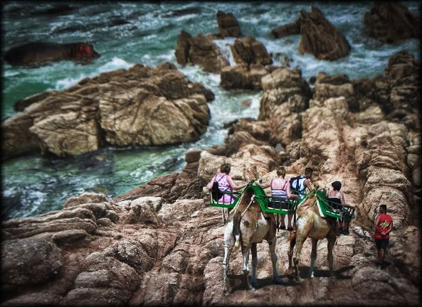 IMAGE: http://i1157.photobucket.com/albums/p590/dawickatwo/competition.jpg