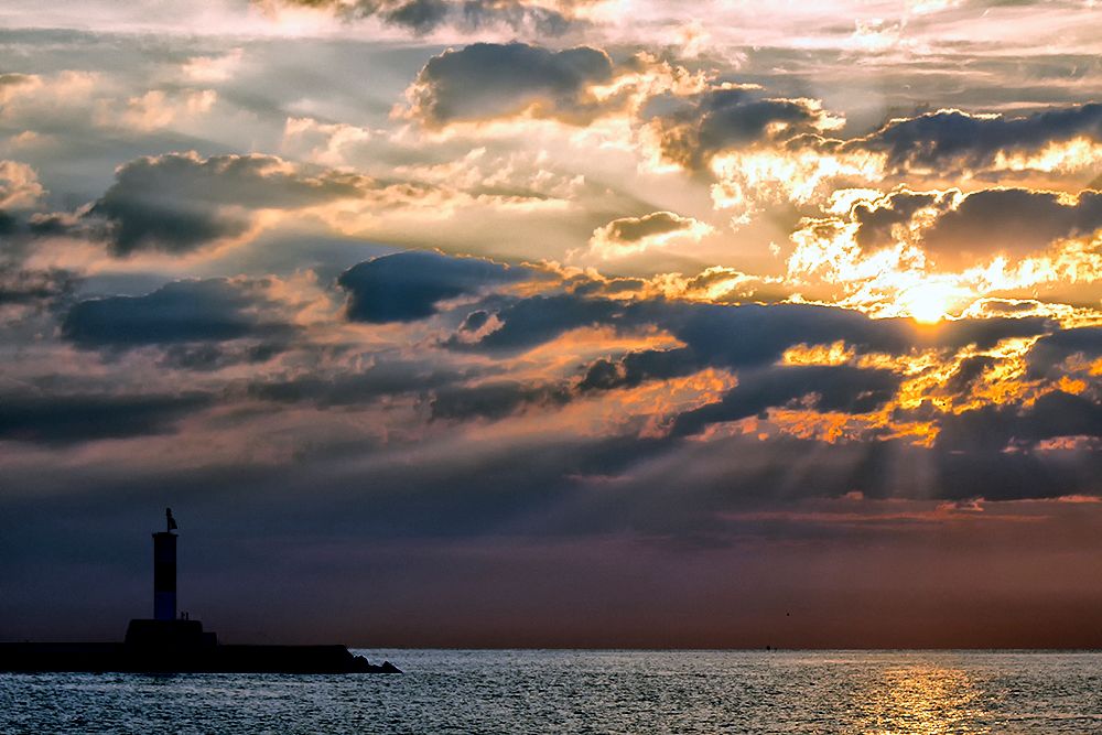 IMAGE: http://i1157.photobucket.com/albums/p590/dawickatwo/competition484_zps0102580a.jpg