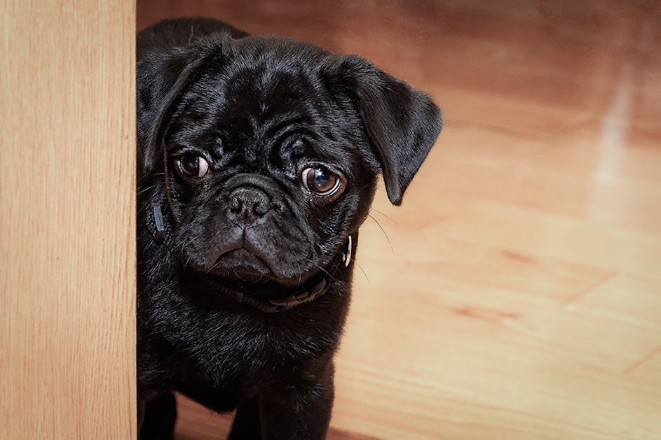 IMAGE: http://i1157.photobucket.com/albums/p590/dawickatwo/dag_zps02b5f5ce.jpg