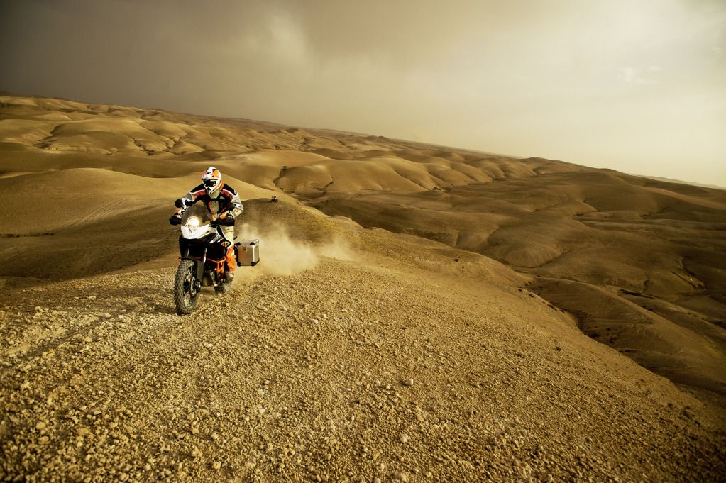 1190Adventure_R_action_11.jpg