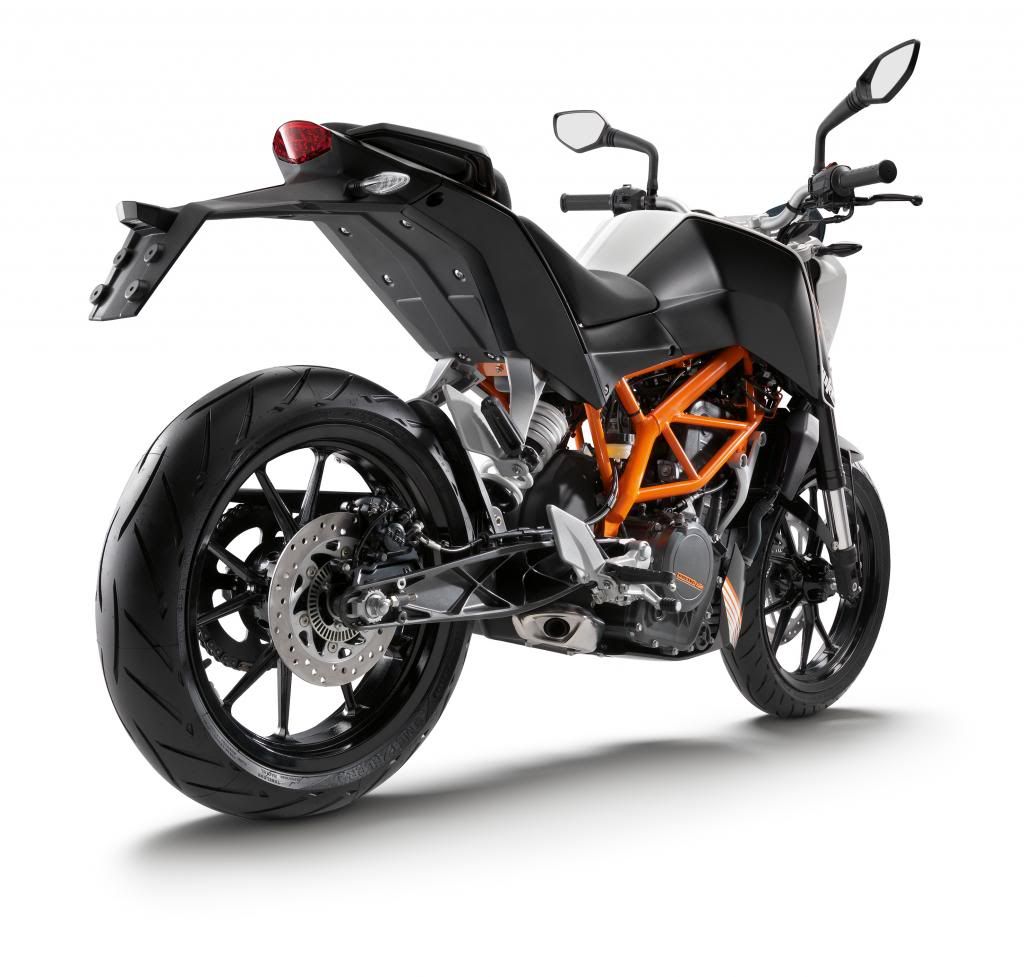 390Duke_right_rear.jpg
