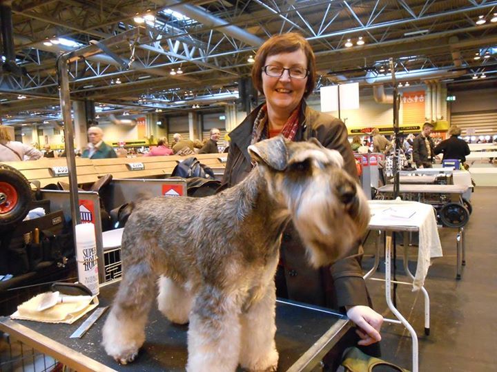 First hand strip Page 3 The Schnauzer Forum