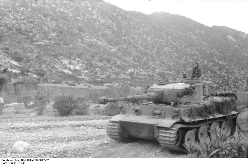 tiger tiger