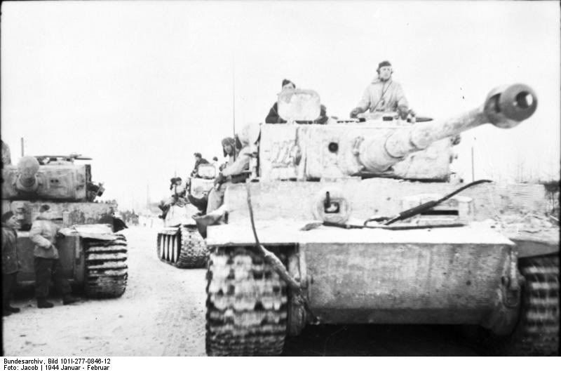tiger tiger