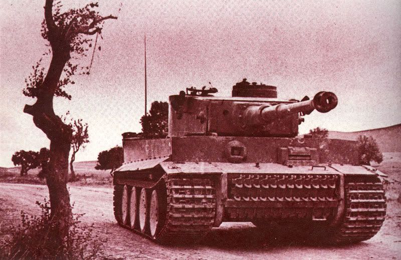 tiger tiger