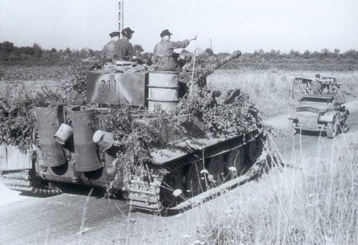 tiger tiger