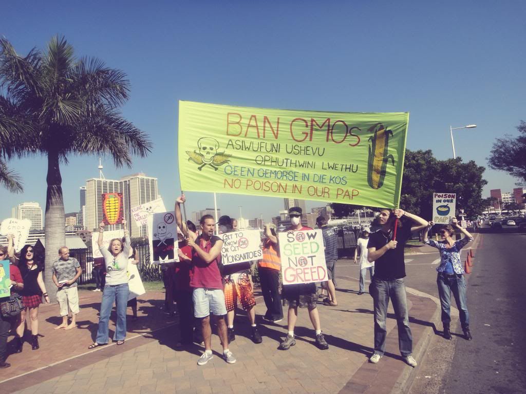 African Babies Don’t Cry : GMO’s in South Africa African Babies Don’t Cry : GMO’s in South Africa