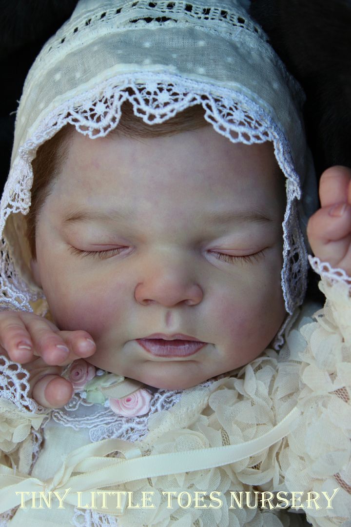 TLNT Reborn Baby Doll Prototype Indra by Reva Schick, Full Body like ...