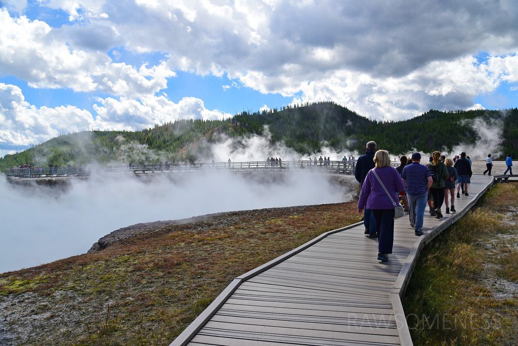 photo DSC_5372 ru_zpszfqocbhn.jpg