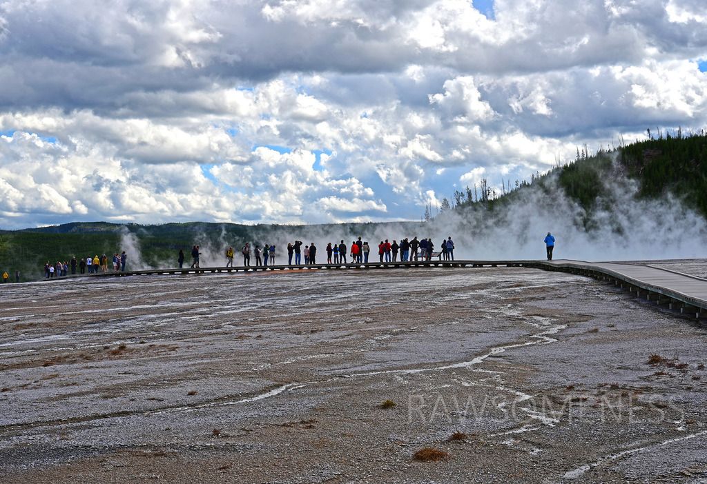 photo DSC_5542 ru_zpsjyi8udsz.jpg